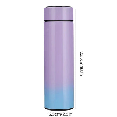 Temperature Display Bottle